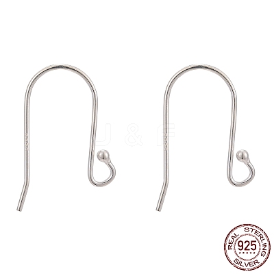 925 Sterling Silver Earring Hooks STER-G011-08-1