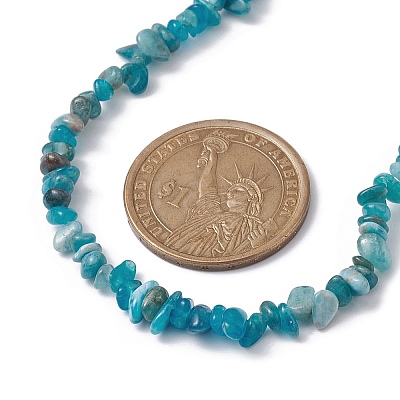 Natural Apatite Chip Beaded Necklace NJEW-JN04615-15-1