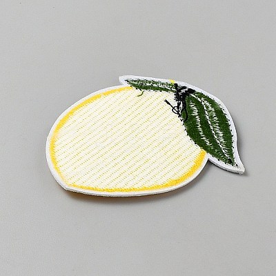 Polyester Clothing Patches DIY-WH0750-303-1