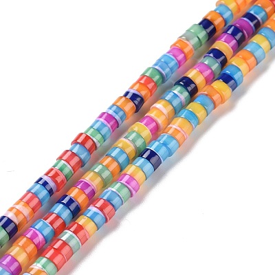 Natural Trochid Shell Beads Strands SSHEL-G023-02C-02-1