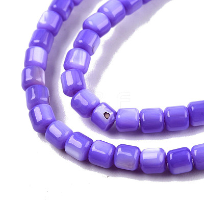 Natural Freshwater Shell Beads Strands SHEL-N003-33-A02-1