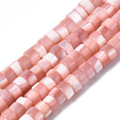 Natural Trochus Shell Beads Strands SHEL-S278-027H-1