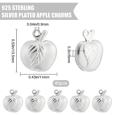 40Pcs Brass Charms KK-BBC0001-02-1