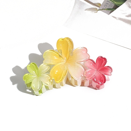 Resin Claw Hair Clips PW-WG39538-04-1