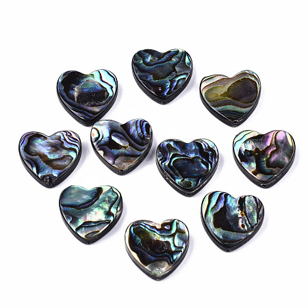 Natural Abalone Shell/Paua Shell Beads SSHEL-T014-16C-1