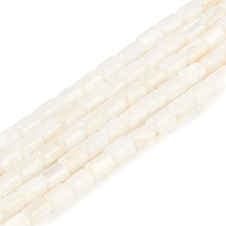 Natural Freshwater Shell Beads Strands BSHE-H109-17A-1