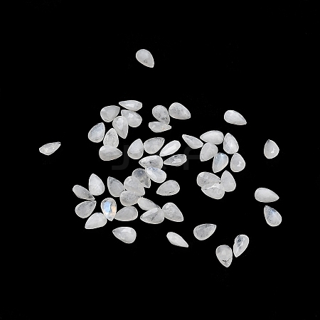 Faceted Natural White Moonstone Cabochons G-I295-05C-19-1
