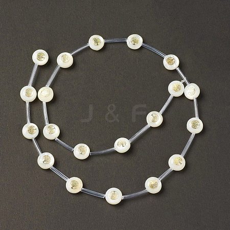 Natural Freshwater Shell Beads Strands BSHE-B005-13D-1