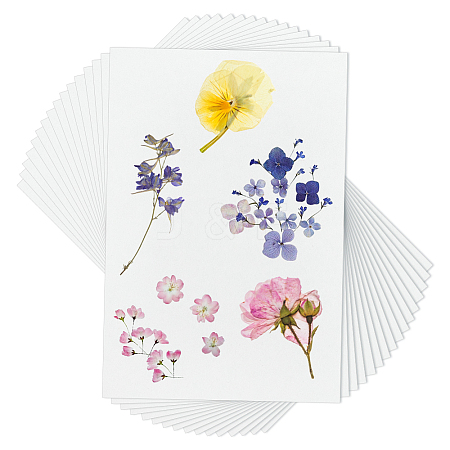 Dried Embossed Paper DIY-WH0622-646D-1