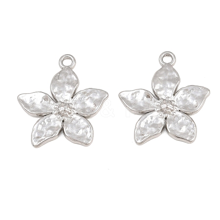 304 Stainless Steel Pendants SA-CBA3ECF-09P-1