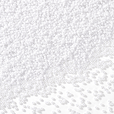 11/0 Glass Seed Beads SEED-PH0003-06-1