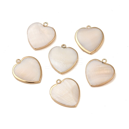 Natural Freshwater Shell Pendants SHEL-M021-14G-1