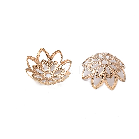 Brass Fancy Bead Caps KK-EC1166-LG-1
