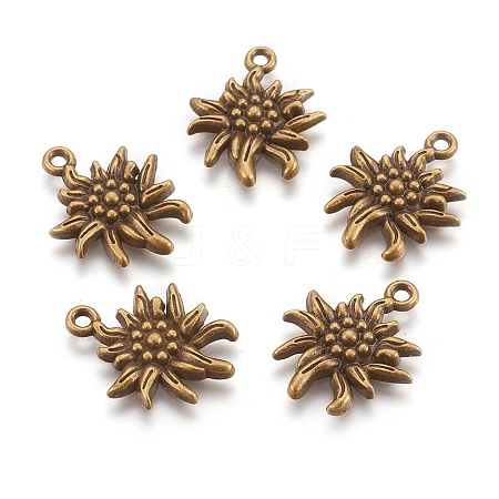 Tibetan Style Alloy Pendants LS-TIBEP-A113357-AB-FF-1