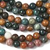 Natural Ocean Jasper Beads Strands G-F668-26-6mm-2