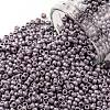 TOHO Round Seed Beads X-SEED-TR11-0554F-1