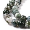 Natural Tree Agate Beads Strands G-K194-6mm-02-6