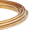 Half Round Brass Wire for Jewelry Making CWIR-WH0003-02G-1