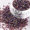 12/0 Glass Seed Beads X1-SEED-A007-2mm-176-1