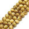 Natural Tiger Eye Beads Strands G-S300-8mm-107H-1