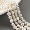 Natural Cultured Freshwater Pearl Beads Strands PEAR-A006-04E-2