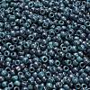 TOHO 6/0 Round Beads X-SEED-TR06-1206-4