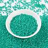 MIYUKI Round Rocailles Beads SEED-JP0009-RR0572-2