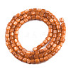 Natural Freshwater Shell Beads Strands SHEL-N026-233-3