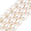 Natural Cultured Freshwater Pearl Beads Strands PEAR-P062-10F-1