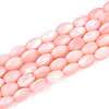 Natural Trochus Shell Beads Strands SHEL-K006-19-01F-1