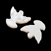 Natural White Shell Carved Beads SSHEL-I026-29-2