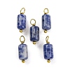 Natural Sodalite Cloumn Pendants STAS-H221-04G-06-1