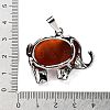 Natural Carnelian Pendants G-G112-01P-01-3