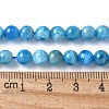 Natural Apatite Beads Strands G-I254-08H-2