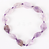 Natural Amethyst Gemstone Bead Strands G-E218-06-2