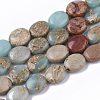 Natural Aqua Terra Jasper Beads Strands G-S366-015A-1