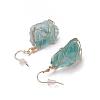 Natural Fluorite Dangle Earrings EJEW-F228-A04-3