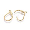 304 Stainless Steel Leverback Earring Findings LS-X-STAS-L221-09G-2