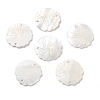 Natural Freshwater Shell Pendants SHEL-D082-14A-1