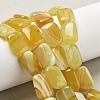 Natural Yellow Agate Beads Strands G-K392-B01-13x18mm-1