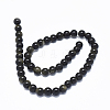 Natural Golden Sheen Obsidian Beads Strands G-L476-08-3