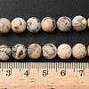 Natural Feldspar Bead Strands G-P295-06-8mm-7