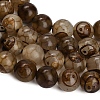 Tibetan Style dZi Beads Strands GG-CBA4812-B10-10MM-4