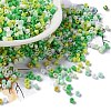 Baking Paint Glass Seed Beads SEED-S042-05A-10-1