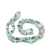 Natural Amazonite Chips Beads Strands G-M205-12A-3