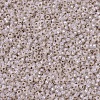 MIYUKI Round Rocailles Beads SEED-G007-RR2352-2