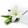 Imitation Leather Artificial Lily LS-PW-WGFA2FB-03-1