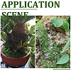 150g Artificial Moss Rocks DJEW-SP0001-22A-7
