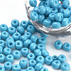 Baking Paint Glass Seed Beads SEED-Q025-4mm-M14-1