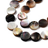 Natural Black Lip Shell Beads Strands SSHEL-N003-151B-3